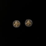 silver earring