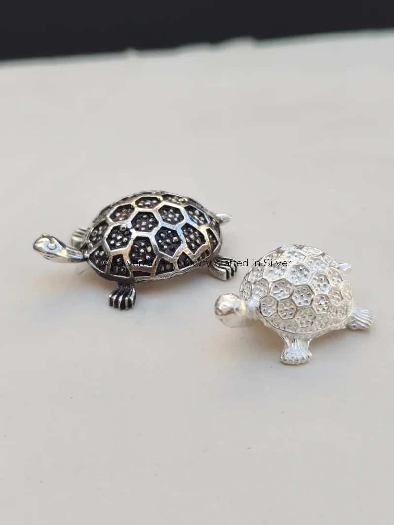Kurma tortoise silver idol, front view