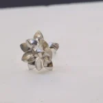 rajshree pushp silver flower collection 6