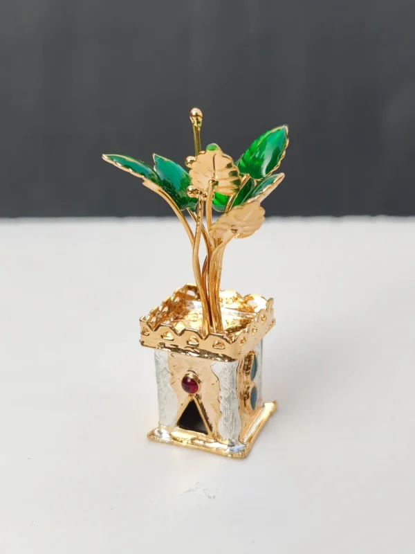 tulsi kanak vrindavan idol 1
