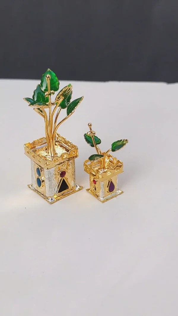 tulsi kanak vrindavan idol 2